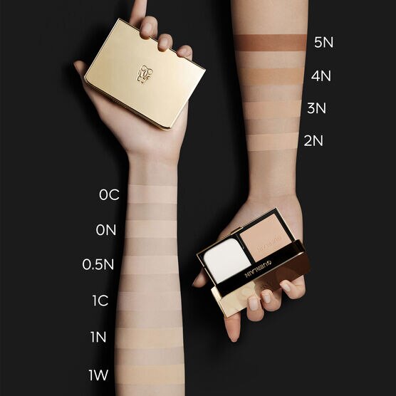 PARURE GOLD Base Compact Skin Control 2N